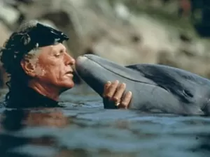 Há 30 anos, o famoso golfinho Flipper foi solto no mar. Mas viveu pouco