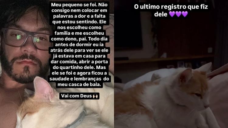 Eliezer lamenta a morte de gato da família