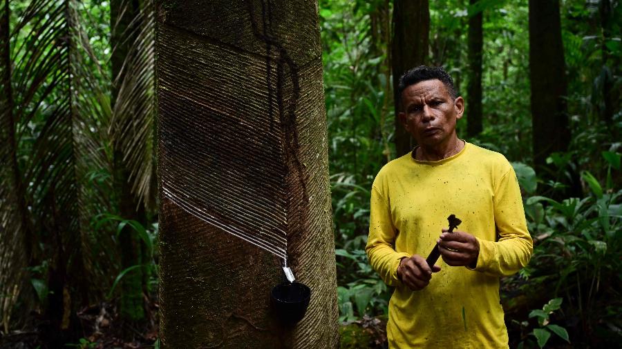 Renato Cordeiro, seringueiro da Ilha de Marajó (PA)