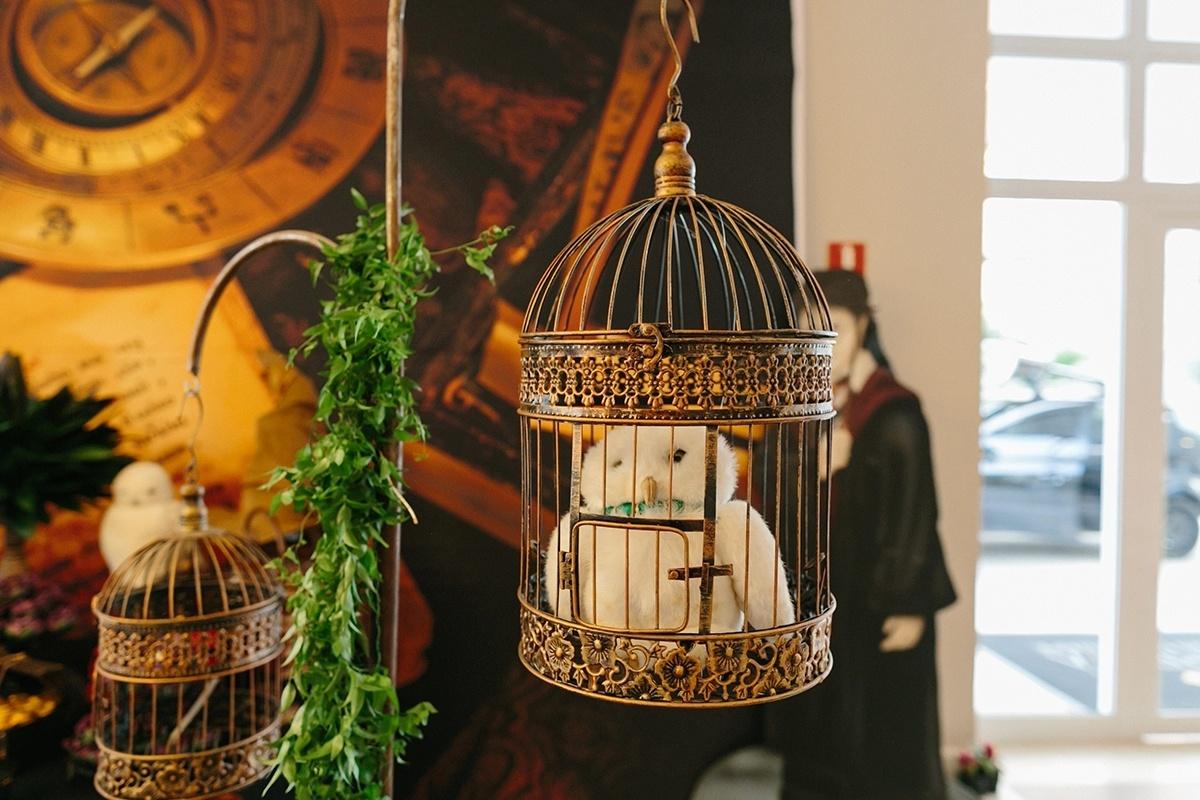 Festa inspirada em Harry Potter- corujas nas gaiolas - Nina Bedacchi Photography/Divulgação