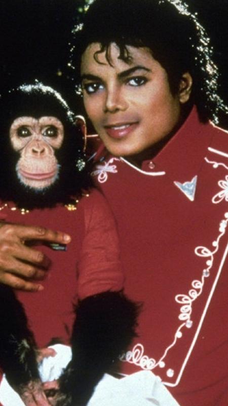 Bubbles: onde está e como vive o chimpanzé amigo de Michael Jackson