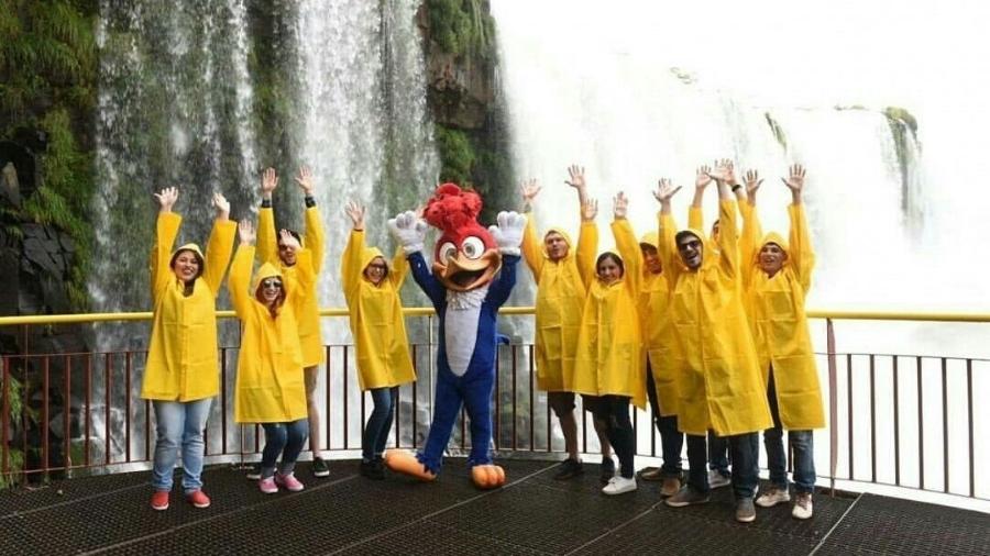 Após viajar pelo Brasil, Pica-Pau revive cena das cataratas em Foz do Iguaçu  - Reprodução/Twitter 