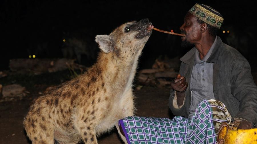 Na cidade de Harar, homem usa a boca para alimentar hiena - Getty Images