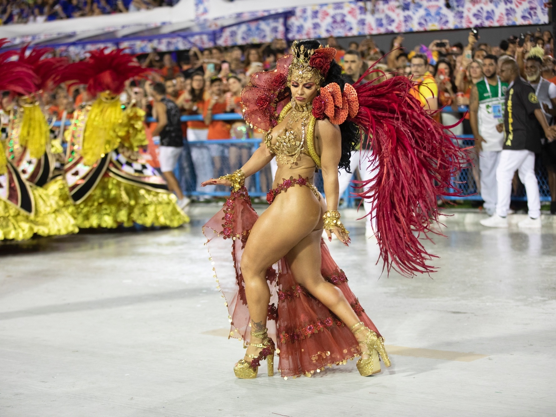 Emoção sem explicação', dizem mestre-sala e porta-bandeira da Imperatriz, O Dia na Folia