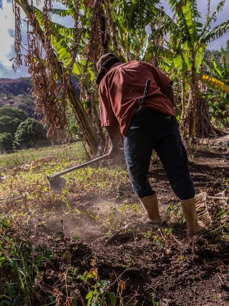 Agricultura familiar é solução para soberania alimentar no Brasil - GENILSON ARAÚJO/FETAPE 