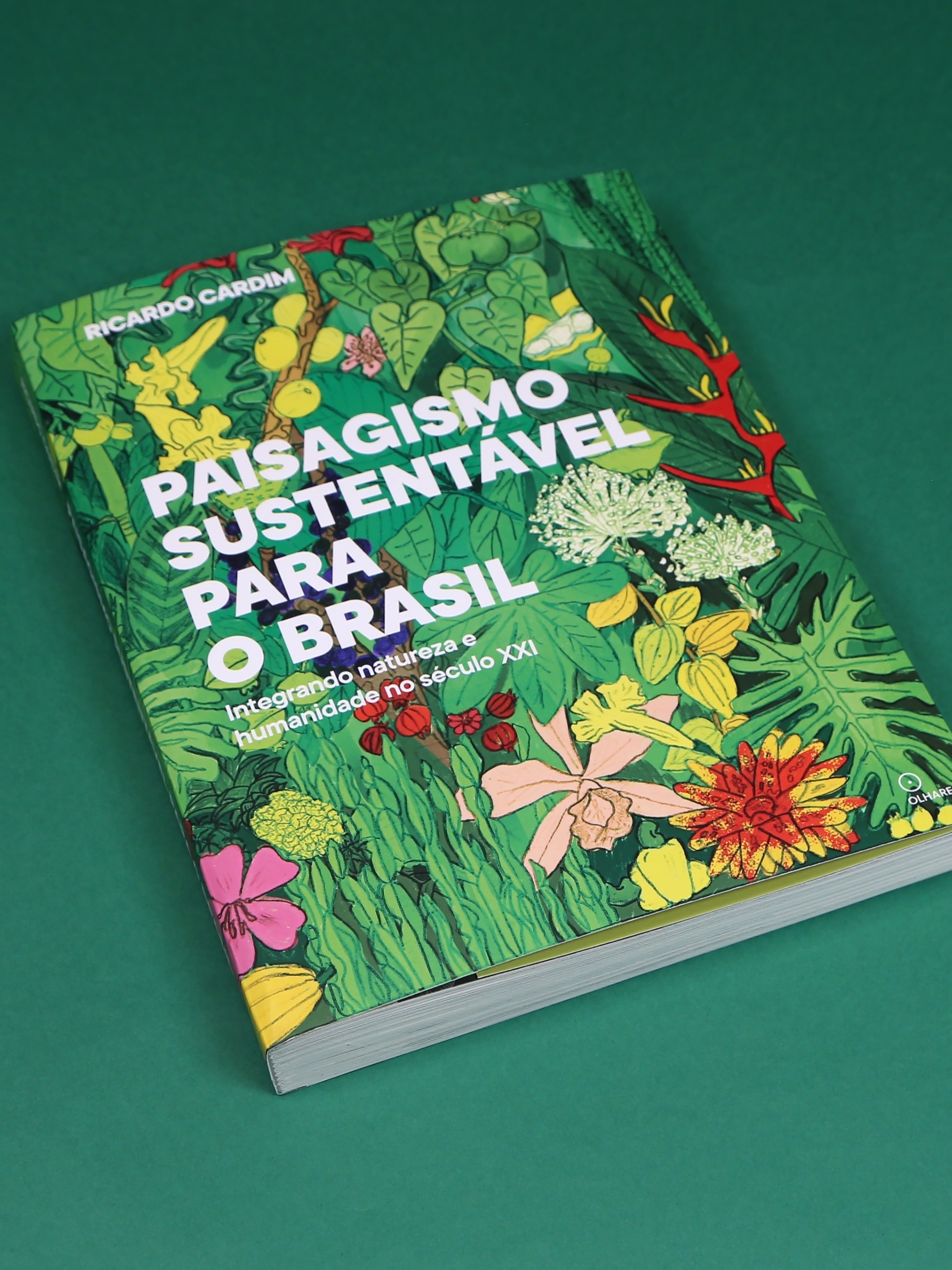 Livro- Viagem no Interior do Brasil- Empreendida nos an