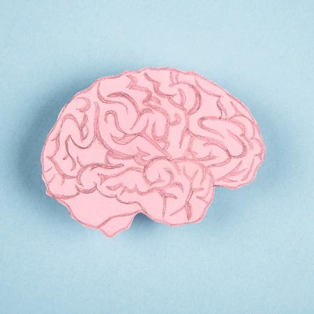 Não é possível separar o funcionamento do cérebro apenas lateralmente 