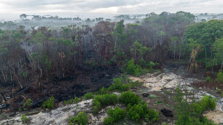 Terras afetadas por incêndios florestais na área nobre de Breves, na região amazônica do arquipélago do Marajó, no Pará