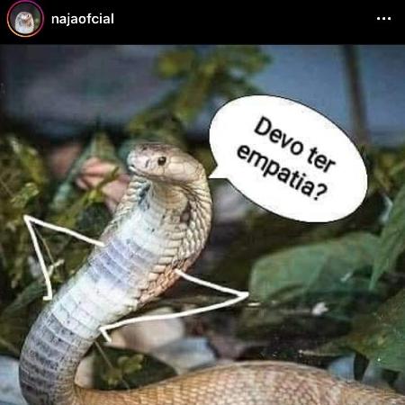 Perfil da cobra naja foi criado no Instagram - Reprodução/ Instagram