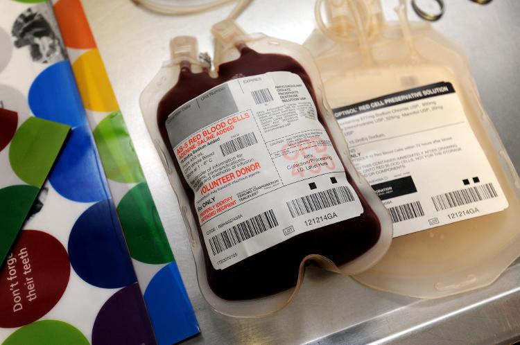 Uma bolsa de sangue pode beneficiar até quatro outros animais - Getty Images - Getty Images