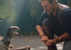 Na CCXP, diretor diz que novo "Jurassic World" terá muito mais dinossauros - Divulgação