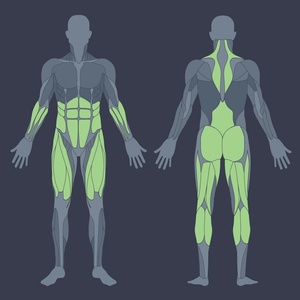 Levantamento terra: saiba como fazer e quais são os músculos trabalhados -  Minha Vida