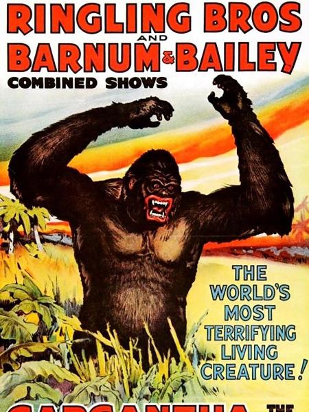 Cartaz do Ringling Bros, tradicional circo americano, anunciando a aparição de Gargantua, 'o maior e mais feroz gorila já trazido aos olhos do homem civilizado'. - WIKIMEDIA COMMONS - WIKIMEDIA COMMONS