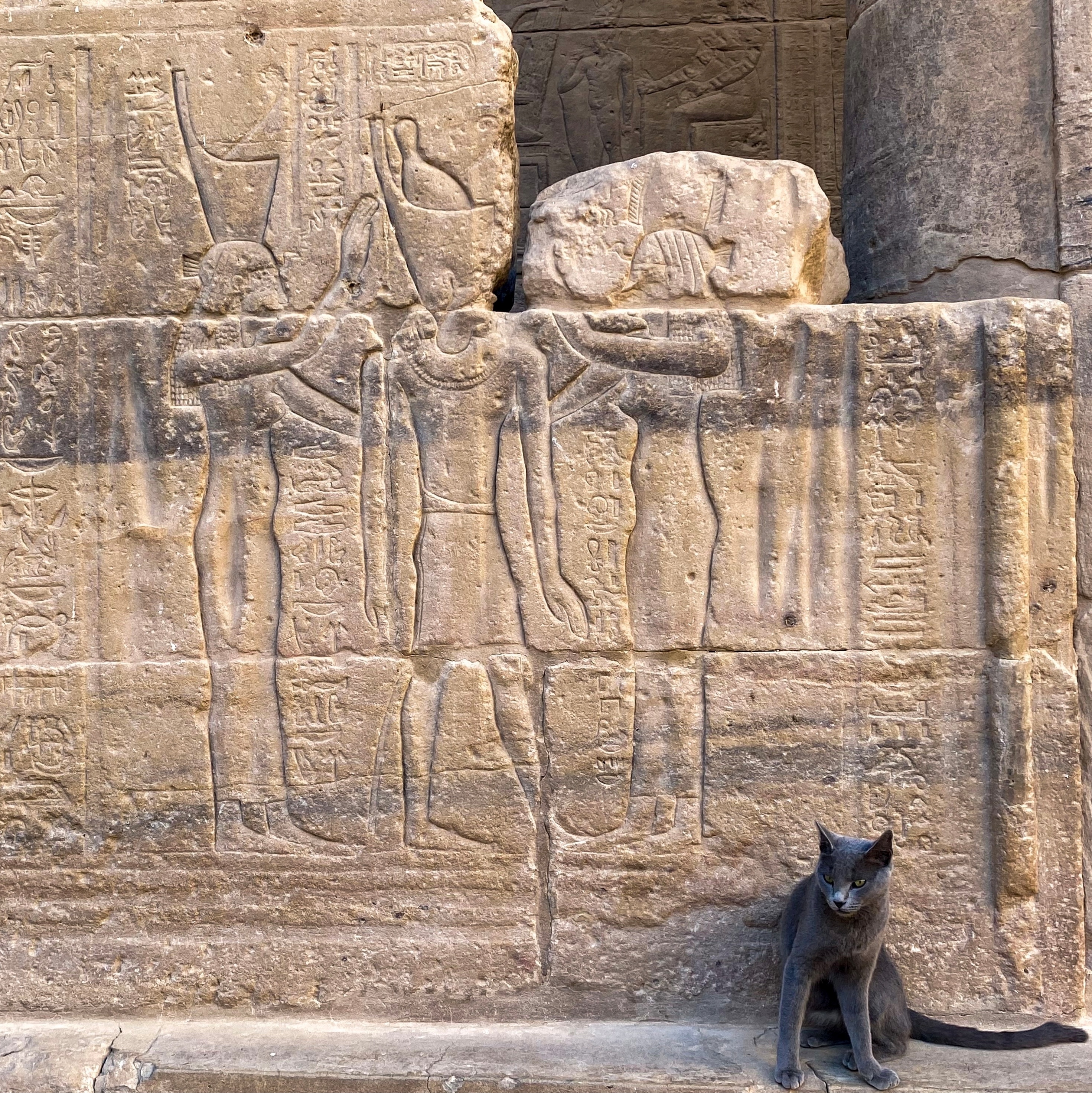 Arqueólogo - Antigo Egito 2-5 – Apps no Google Play