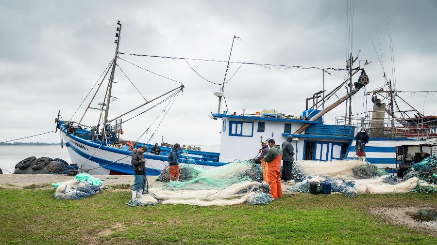 Pescadores artesanais e industriais relatam incremento no volume e variedade de espécies na Lagoa do Patos e na costa do Rio Grande do Sul - Marcelo Curia/Mongabay