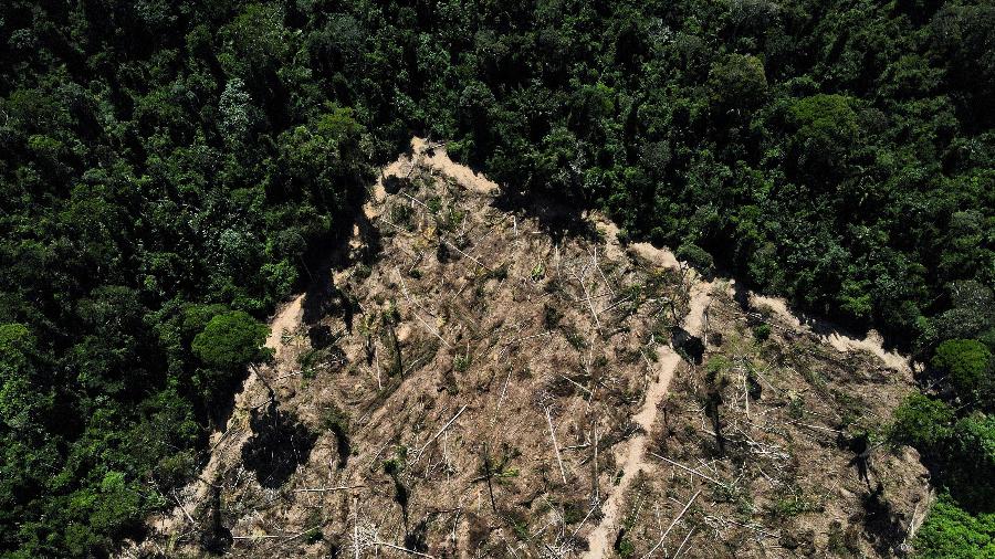 Restauração de ecossistemas degradados é uma das formas de uso da terra para captura de carbono - Bruno Kelly/Reuters