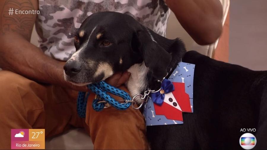 O cachorro Ted encantou os participantes do Encontro ao não desgrudar do dono, Paulo - Reprodução/Globo