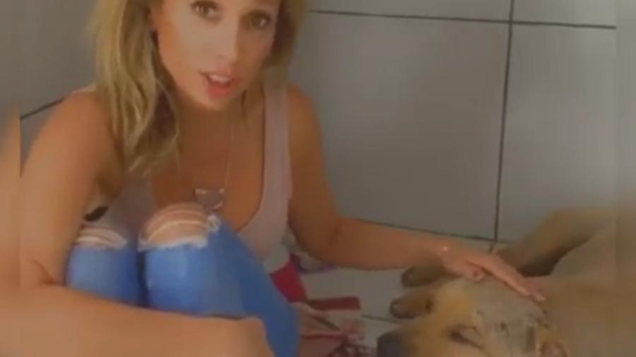 Luísa Mell e um dos 18 cães resgatados de rinha - Reprodução/ Instagram