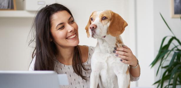 Animais de estimação | Planos de saúde para pets custam a partir de R$ 44; confira os cuidados