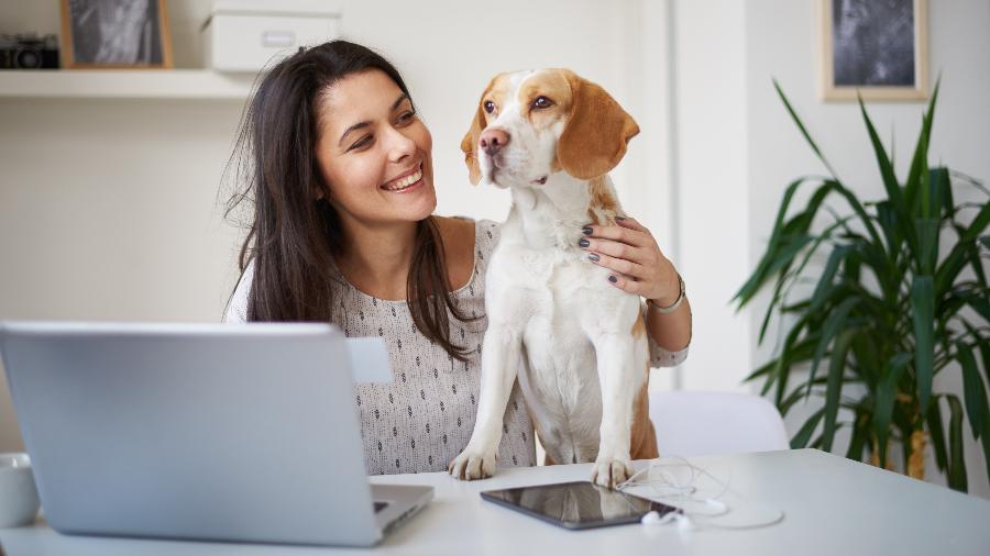 home office pets - iStock