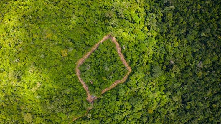 Vista de drone do recinto de 15 mil m2, em Jacareacanga, onde Xamã é preparado para ser reintroduzido na natureza. - Noelly Castro/Proteção Animal Mundial - Noelly Castro/Proteção Animal Mundial