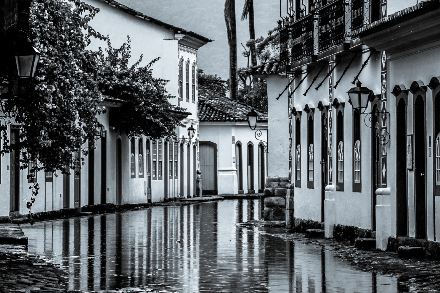 Foto de Felipe Hoffmann, no RJ - Felipe Hoffmann