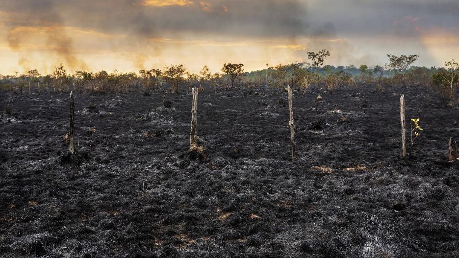 Área de pasto queimado as margens da Br-319 próximo a Humaitá, no Amazonas - Lalo de Almeida/Folhapress