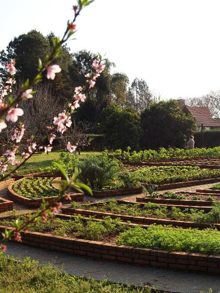 Na horta orgânica são plantados hortaliças, frutas e verduras - Eduardo Burckhardt/ysoke - Eduardo Burckhardt/UOL