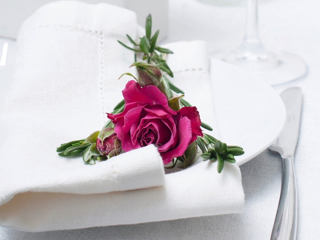 Rosas em tom de rosa bem escuro formam belo e elegante contraste com o branco - Thinkstock