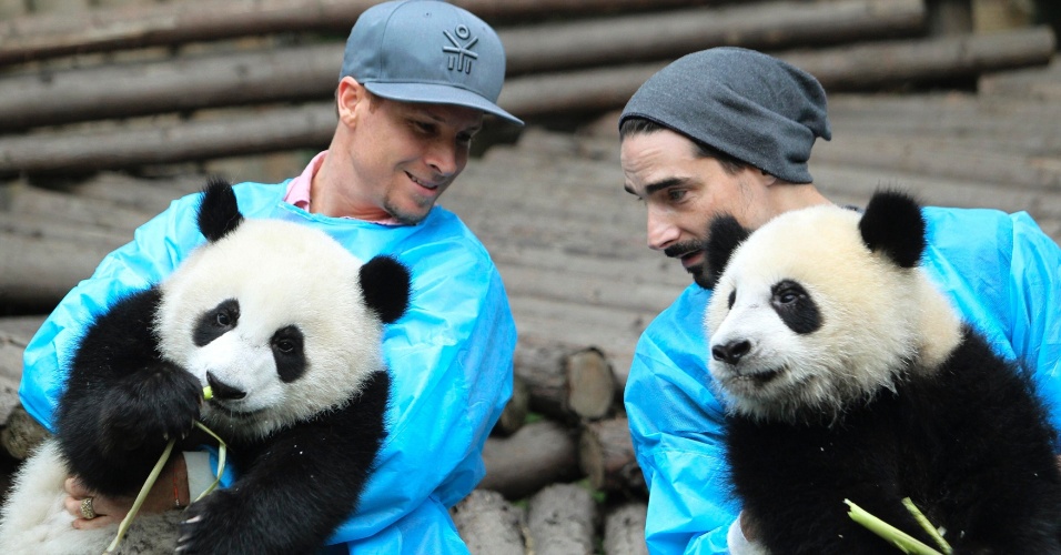 30.mai.2013 - Brian Littrell (esq) e Kevin Richardson, dos Backstreet Boys, seguram filhotes de panda gigante no colo durante visita ao centro de pesquisa de pandas gigantes em Chengdu, na província chinesa de Sichuan