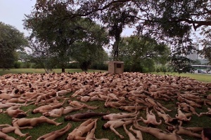 Os pelados de Spencer Tunick - Fotos - UOL Entretenimento