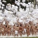 9.julho.2011 - Tunick fotografa guerra de travesseiros com 800 pessoas nuas em frente ao Gaasbeek Castle como parte da instalação "Sleeping Beauties" - REUTERS/Thierry Roge