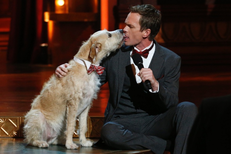 9.jun.2013 - O ator Neil Patrick Harris beija o cão do musical "Annie" durante o Tony Awards, em Nova York