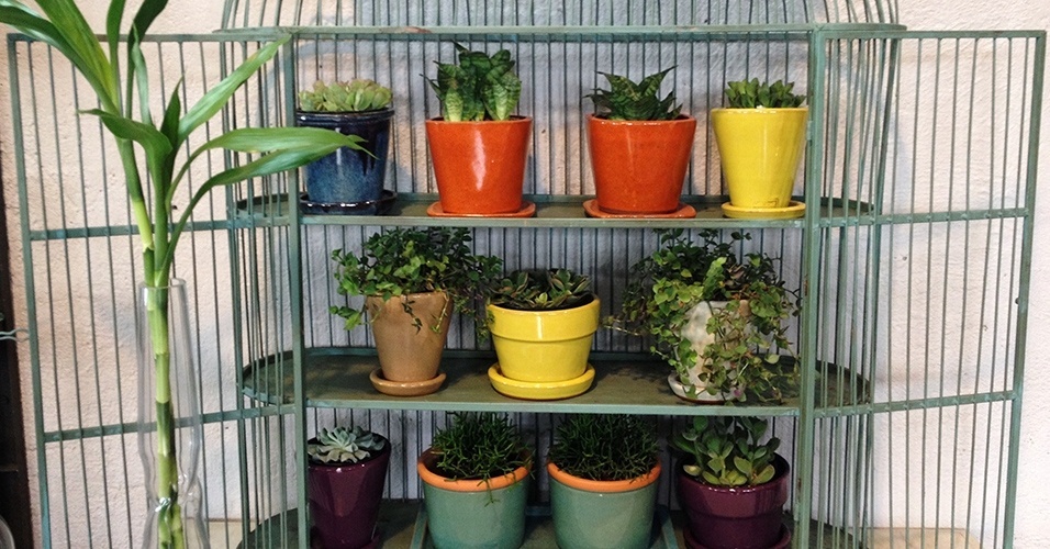 Jardins em estantes e prateleiras - Divulgação