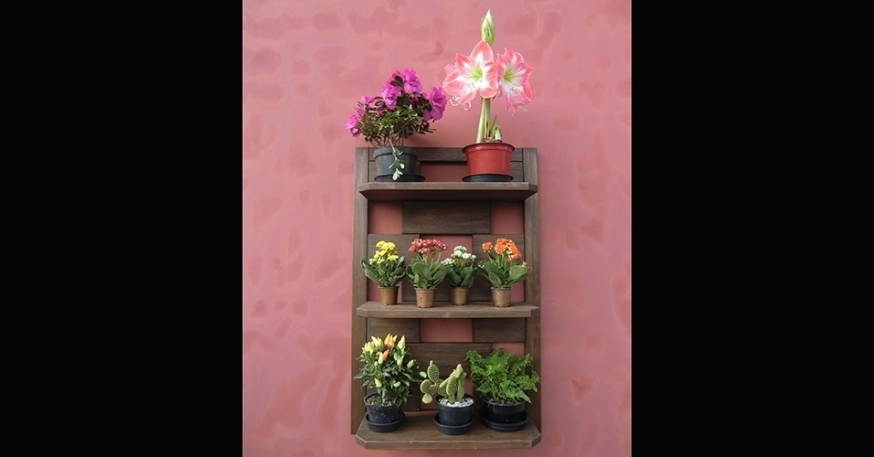 Jardins em estantes e prateleiras - Divulgação