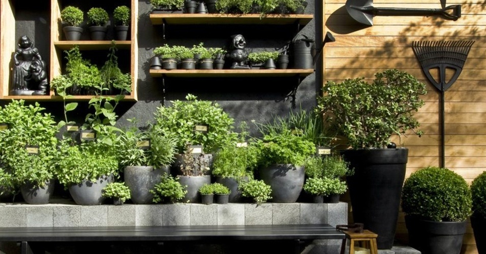 Jardins em estantes e prateleiras - Divulgação
