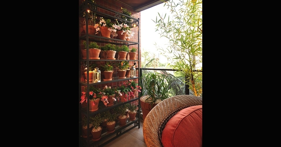 Jardins em estantes e prateleiras - Paula Fratin