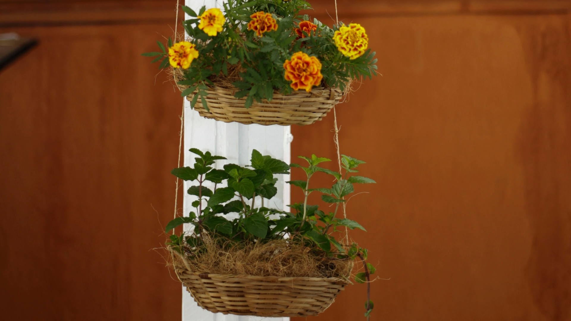 Passo a passo: floreira com cestos de vime - Fernando Donasci/ UOL