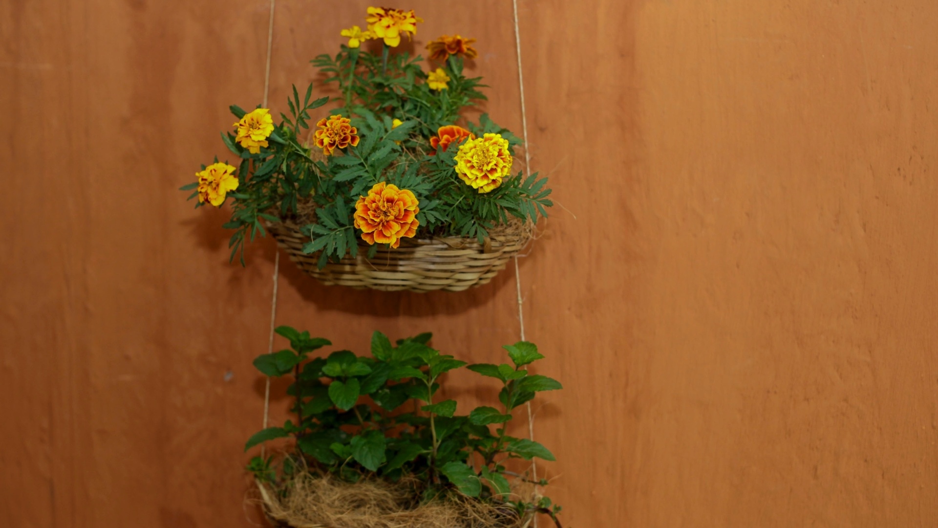 Passo a passo: floreira com cestos de vime - Fernando Donasci/ UOL