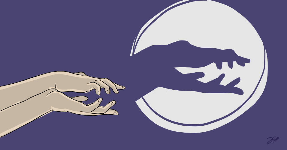 ilustração de crocodilo para o álbum de animais com sombras - Jeff Camargo/UOL