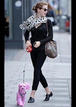 Emma Watson passeia com a cadelinha Darcy tingida de cor-de-rosa para arrecadar dinheiro para o combate do câncer de mama - Grosby Group