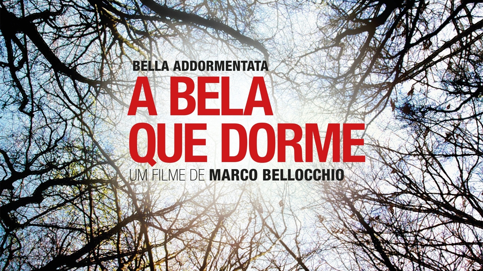 Cartaz oficial em português de "A Bela Que Dorme", de Marco Bellocchio - pôster nacional - Divulgação / Califórnia Filmes