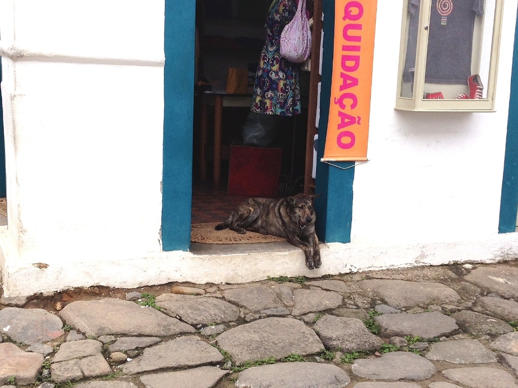 Deitado na porta de uma loja no centro histórico de Paraty, Félix ganhava carinho e comida de moradores e turistas que passavam pela rua. "Ele é de todo mundo, é o cachorro mais querido de Paraty", garantiu uma das vendedoras - Mirella Nascimento/UOL
