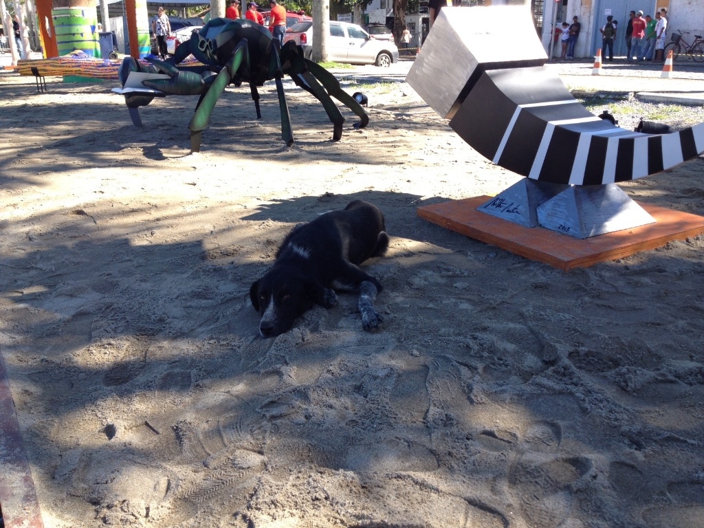 Descansando na sombra, o cachorro se confunde com as obras de arte expostas na área aberta da Flip - Mirella Nascimento/UOL