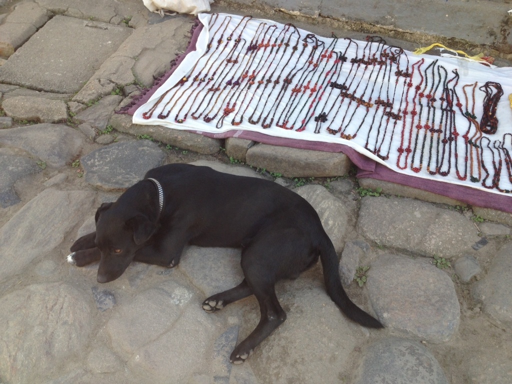 O cachorro preto fazia companhia a artesãos que vendiam bijuterias na Rua do Comércio, no centro histórico de Paraty - Mirella Nascimento/UOL