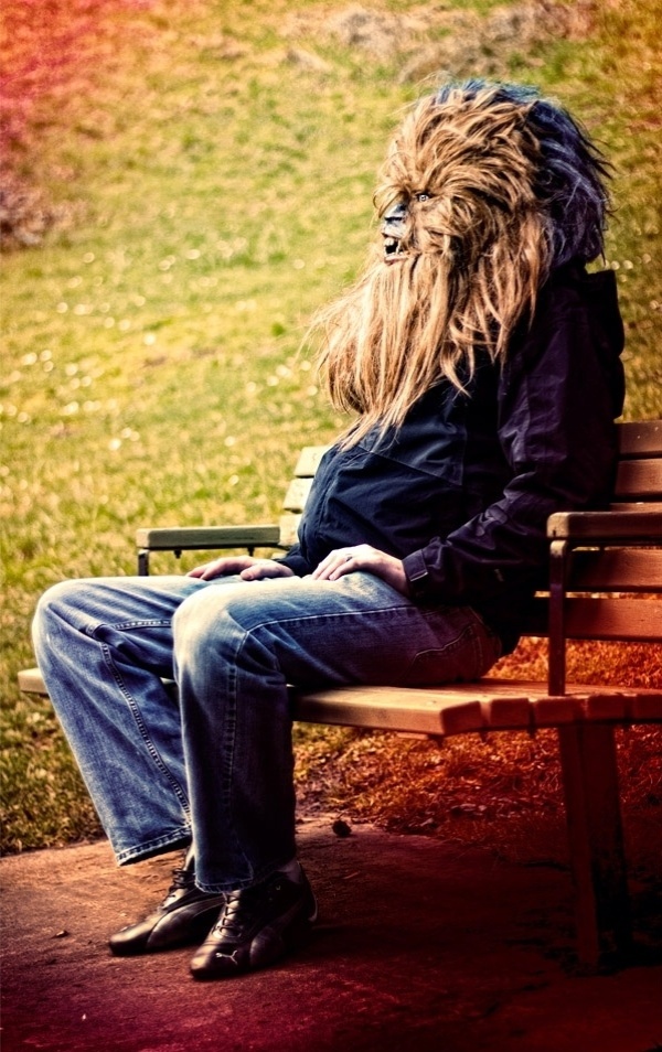 Wookie deixa as três luas e um sol do planeta Kashyyyk para aproveitar o fim de tarde em uma praça americana - Mako Miyamoto/NeonWerewolf.com