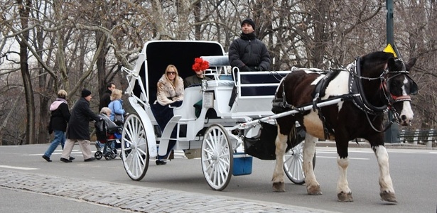 Turistas passeiam de carruagem no Central Park durante o inverno - Luna Kalil/UOL