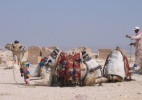 O que os camelos fazem para se comunicar? Descubra o que você sabe sobre os sons dos bichos - Karina Gouvea/UOL