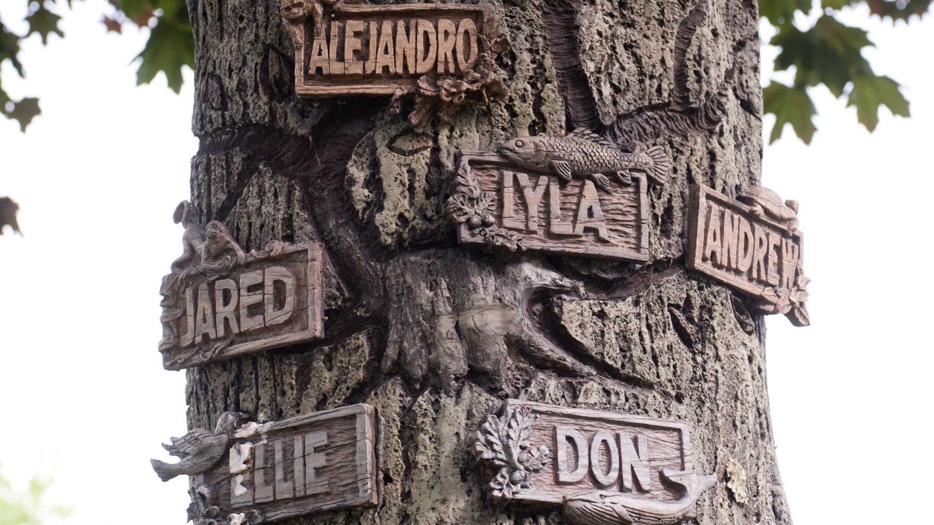 Cena da comédia "O Casamento do Ano", estrelada por Robert De Niro, Diane Keaton e Susan Sarandon - Divulgação / Imagem Filmes