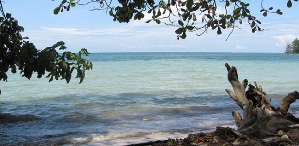 Diferentes tons de verde e azul fazem a alegria dos olhos de quem visita a região do Caribe e recantos como as praias do Parque Nacional Cahuita, em Limón  - Débora Pinto/UOL